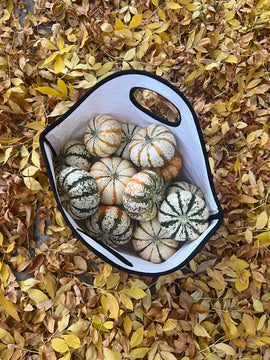 So Many Fall Uses for Our Bags!